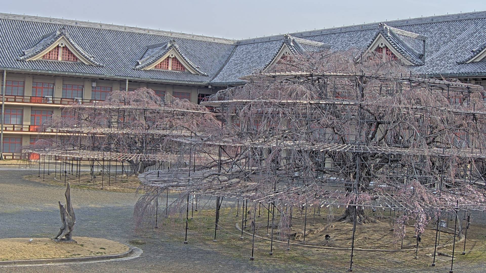 天理教教会本部のライブカメラ