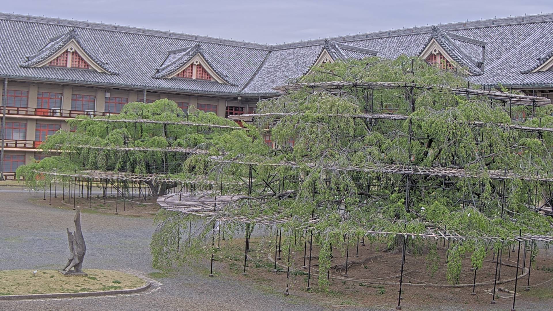 天理教教会本部のライブカメラ